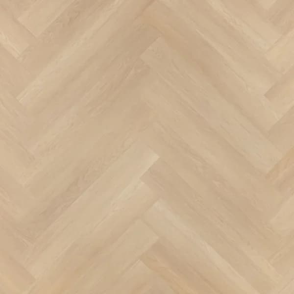 Floer Noordkaper Natuur Walvisgraat Dryback